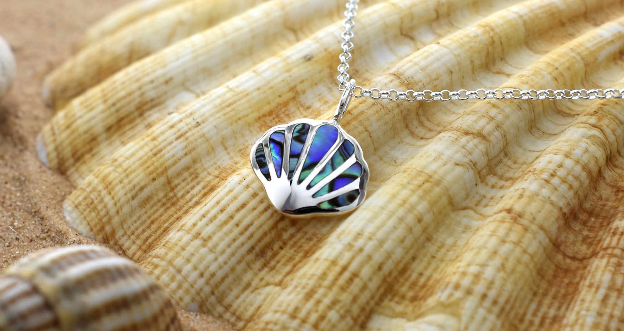Paua shell