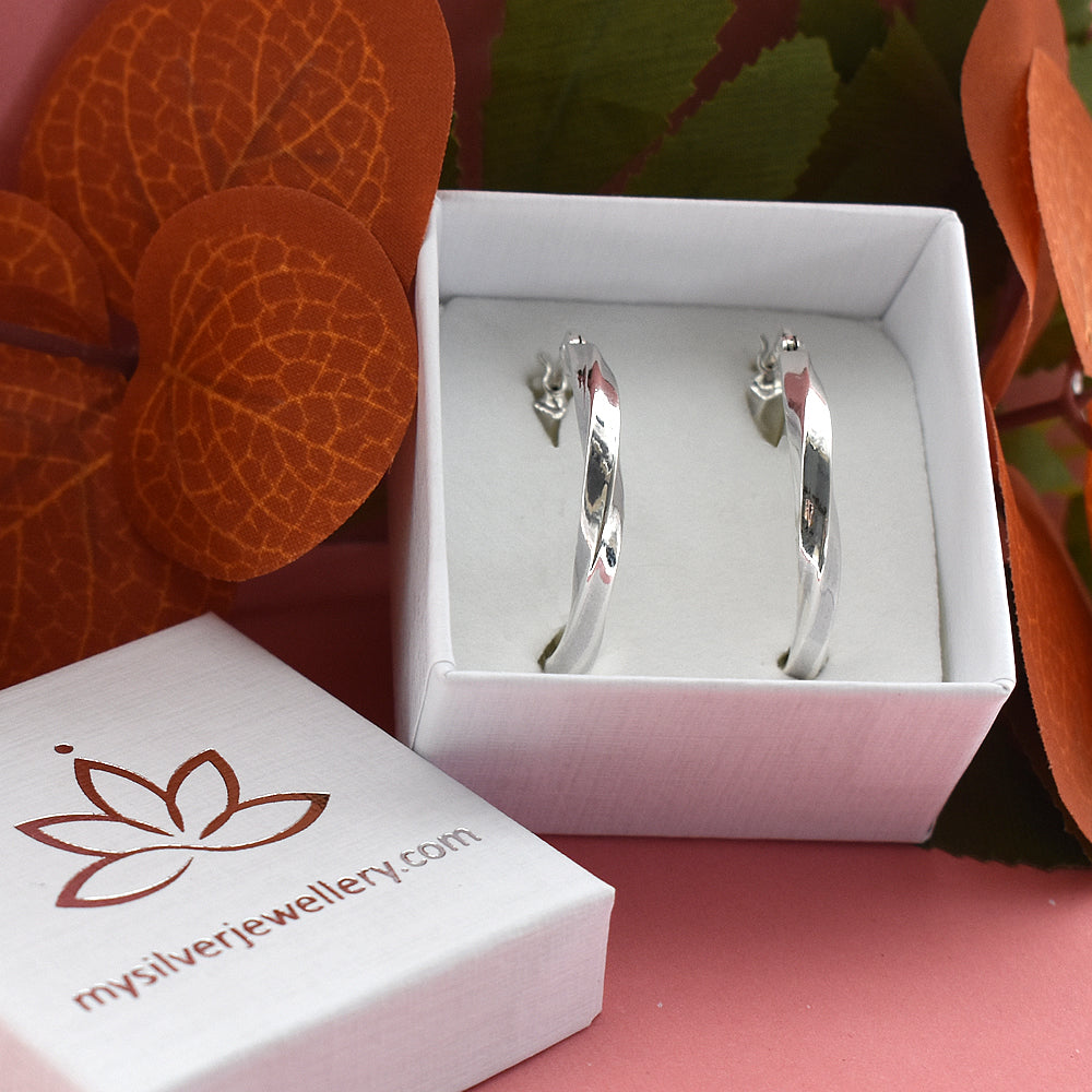 Phoebe large twisted creole hoops