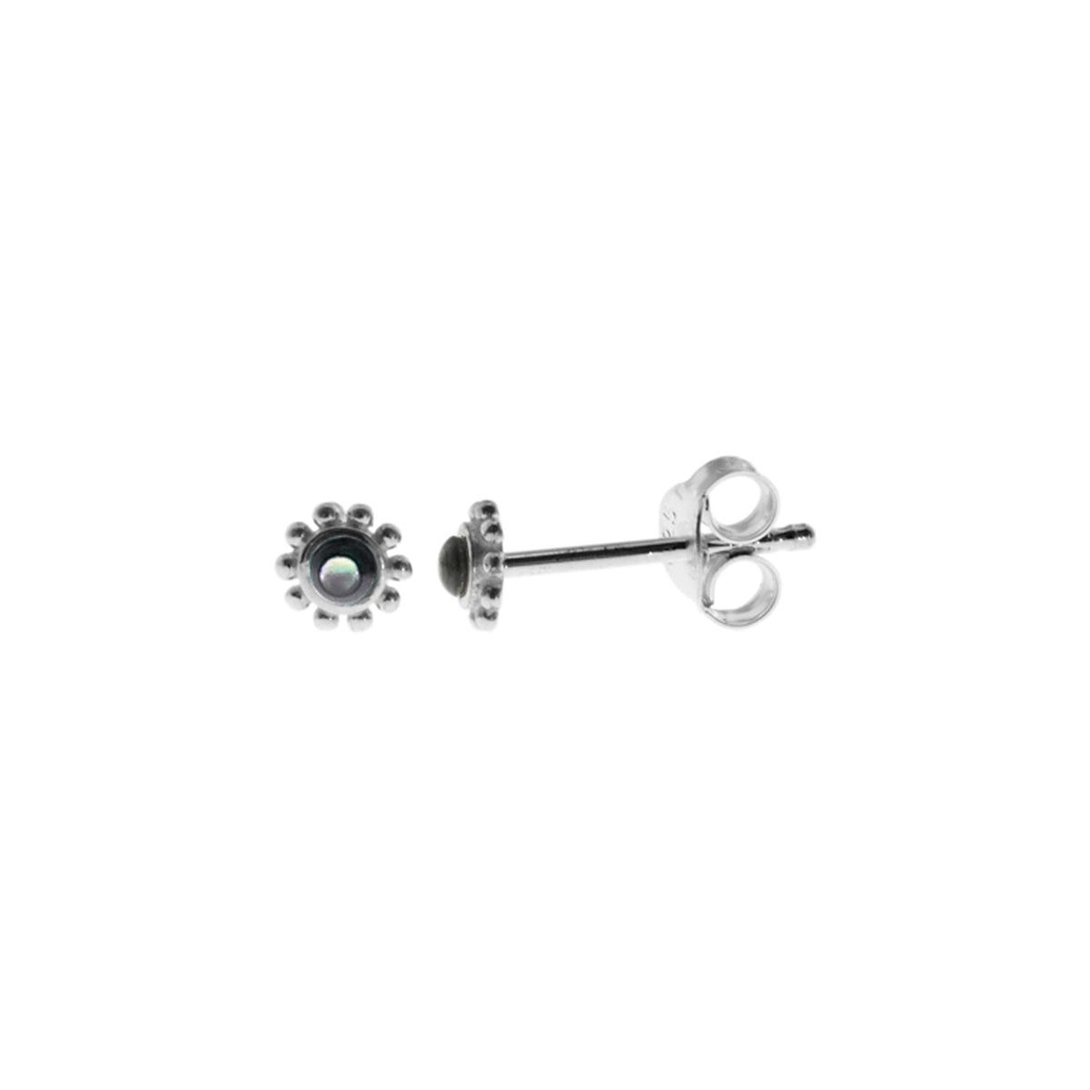 Isla dainty paua shell studs